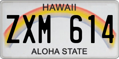 HI license plate ZXM614