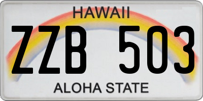 HI license plate ZZB503