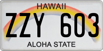 HI license plate ZZY603