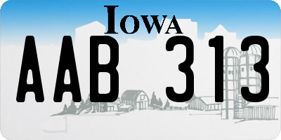 IA license plate AAB313