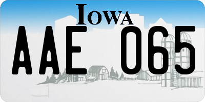 IA license plate AAE065