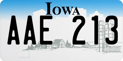 IA license plate AAE213