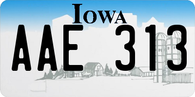 IA license plate AAE313