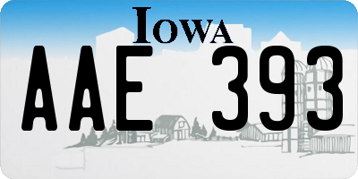 IA license plate AAE393