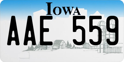 IA license plate AAE559