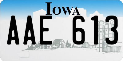 IA license plate AAE613