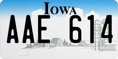 IA license plate AAE614