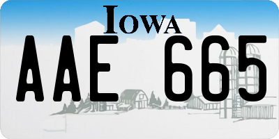 IA license plate AAE665