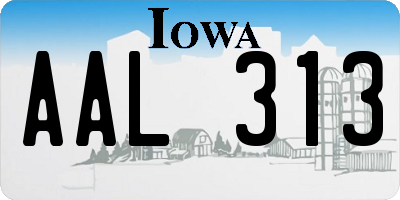 IA license plate AAL313