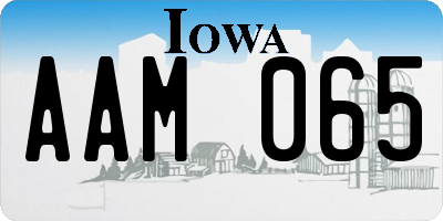 IA license plate AAM065