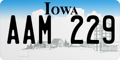 IA license plate AAM229