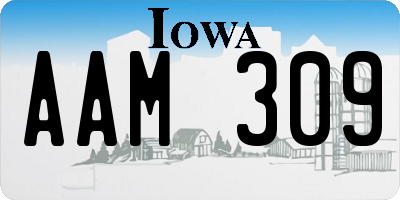 IA license plate AAM309