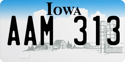 IA license plate AAM313