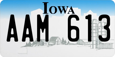 IA license plate AAM613