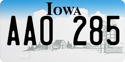 IA license plate AAO285