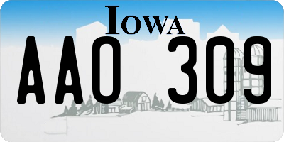 IA license plate AAO309