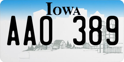 IA license plate AAO389