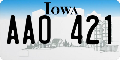 IA license plate AAO421