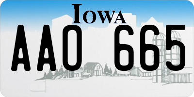 IA license plate AAO665