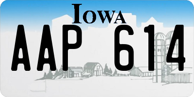 IA license plate AAP614