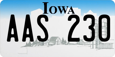 IA license plate AAS230