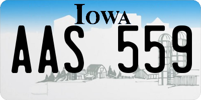 IA license plate AAS559