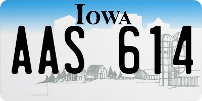 IA license plate AAS614