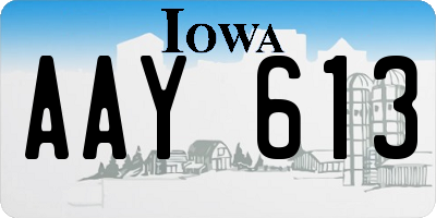 IA license plate AAY613