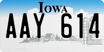 IA license plate AAY614