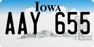 IA license plate AAY655