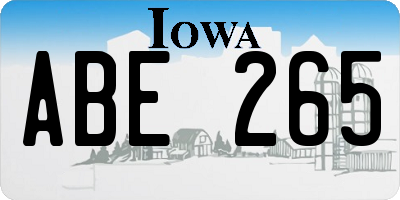 IA license plate ABE265