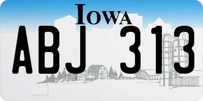 IA license plate ABJ313