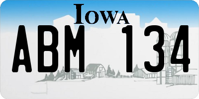 IA license plate ABM134