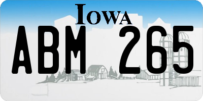 IA license plate ABM265