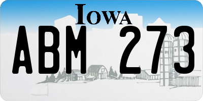 IA license plate ABM273