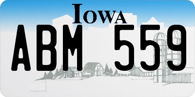 IA license plate ABM559
