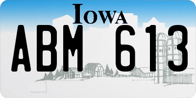 IA license plate ABM613