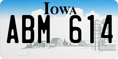 IA license plate ABM614