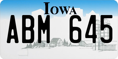 IA license plate ABM645