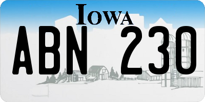 IA license plate ABN230