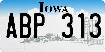 IA license plate ABP313