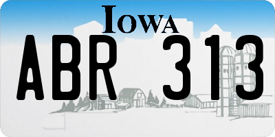 IA license plate ABR313
