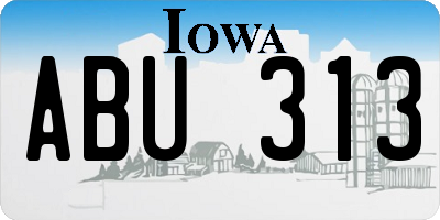 IA license plate ABU313