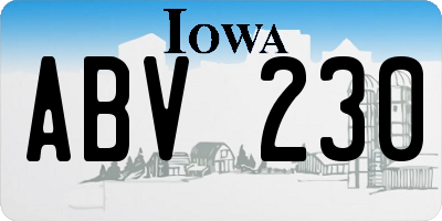 IA license plate ABV230