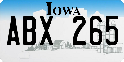 IA license plate ABX265