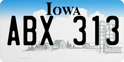 IA license plate ABX313
