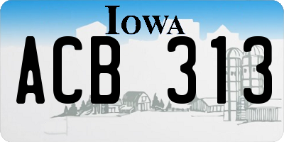 IA license plate ACB313