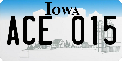 IA license plate ACE015