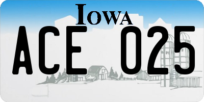 IA license plate ACE025