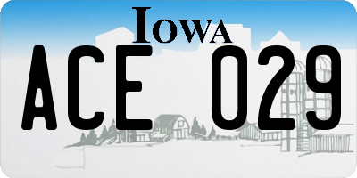 IA license plate ACE029